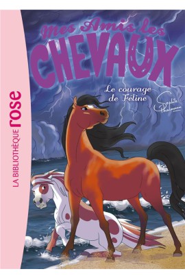 LE COURAGE DE FELINE