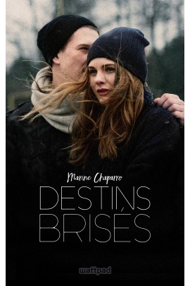 DESTINS BRISES T1