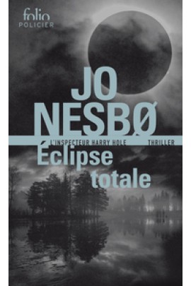 UNE ENQUETE DE HARRY HOLE