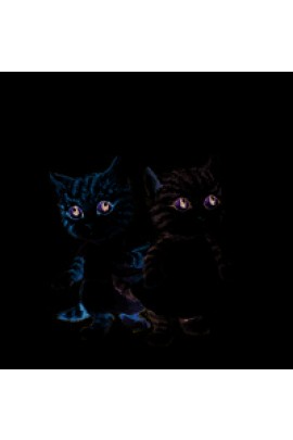MARION ET SIMON LES CHATONS