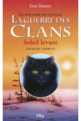 CYCLE III - LE POUVOIR DES ETOILES