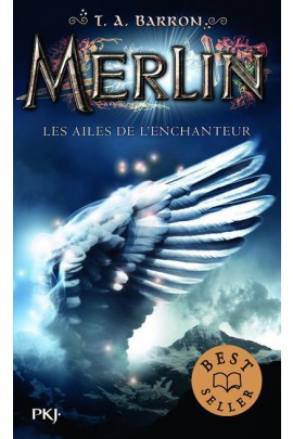 LES AILES DE L'ENCHANTEUR
