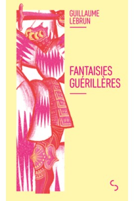 FANTAISIES GUERILLERES