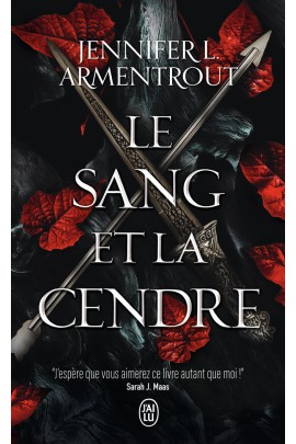 LE SANG ET LA CENDRE T01