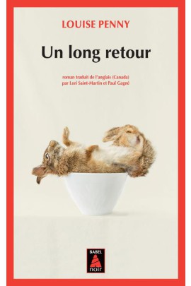 UN LONG RETOUR