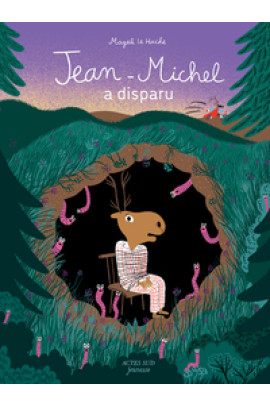 JEAN-MICHEL A DISPARU