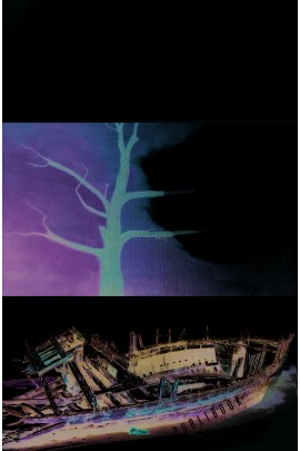 LE FRISSON D'EAU SUR DE LA MOUSSE