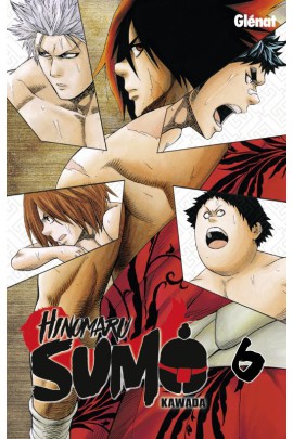 HINOMARU SUMO T06