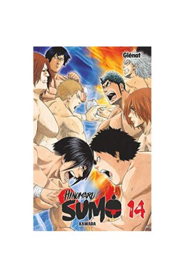 HINOMARU SUMO T14