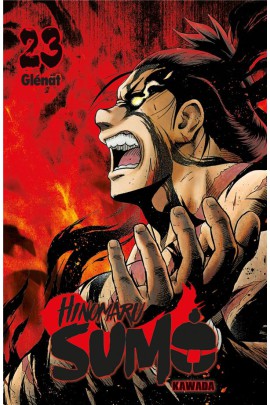 HINOMARU SUMO T23