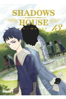 SHADOWS HOUSE T13