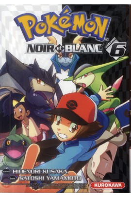 POKEMON NOIR ET BLANC T06