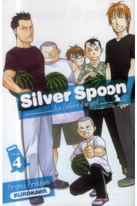 SILVER SPOON T04