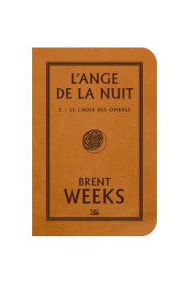 LE CHOIX DES OMBRES