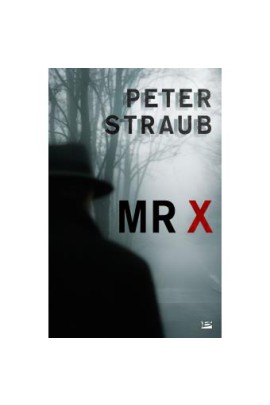 MR X