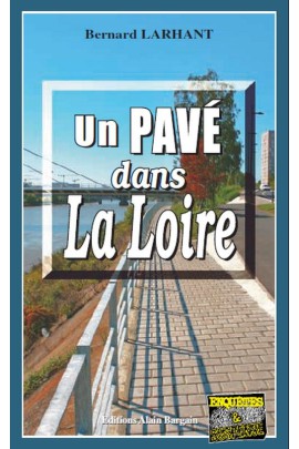 UN PAVE DANS LA LOIRE