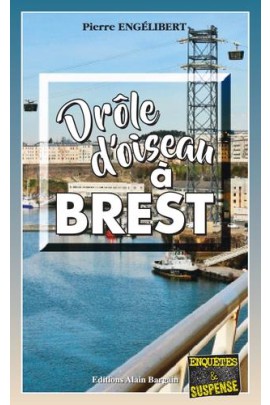 DROLE D OISEAU A BREST