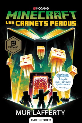 LES CARNETS PERDUS (VERSION  DYSLEXIQUE)