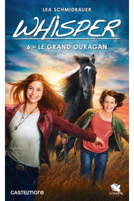LE GRAND OURAGAN