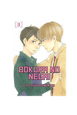 BOKURA NO NEGAI T03