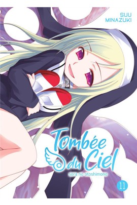 TOMBEE DU CIEL T11