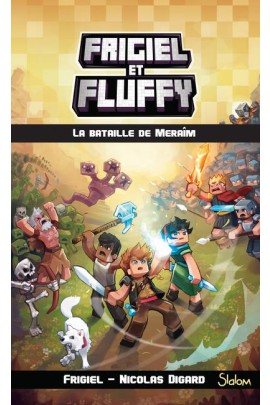 LA BATAILLE DE MERAIM
