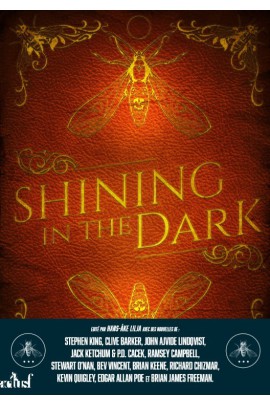 SHINING IN THE DARK