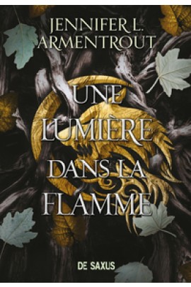 UNE LUMIERE DANS LA FLAMME