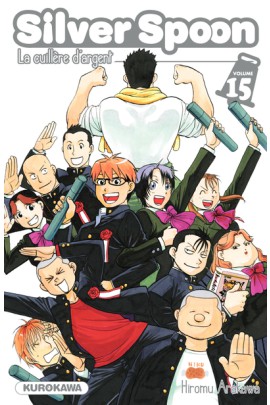 SILVER SPOON T15