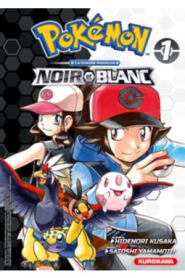 POKEMON NOIR & BLANC DOUBLE T01