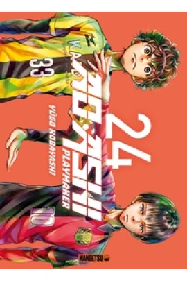 AO ASHI T24