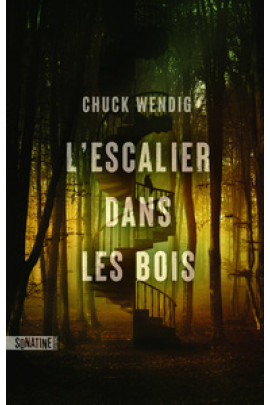 L'ESCALIER DANS LES BOIS