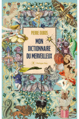 MON DICTIONNAIRE DU MERVEILLEUX