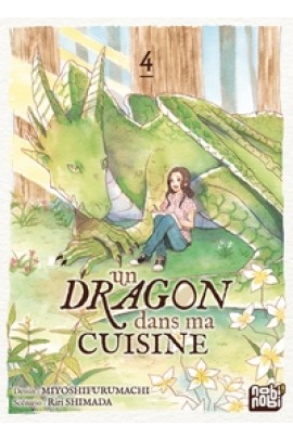 UN DRAGON DANS MA CUISINE T04