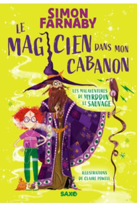 LES MALAVENTURES DE MYRDDIN LE SAUVAGE (BROCHE)