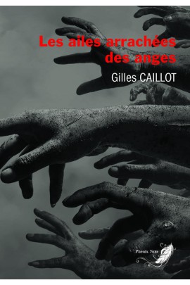 TETRALOGIE MASSIMO ZANETTI