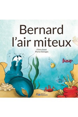 BERNARD L'AIR MITEUX