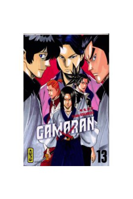 GAMARAN T13