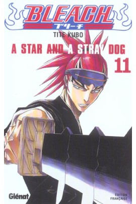 A STAR AND A STRAY DOG