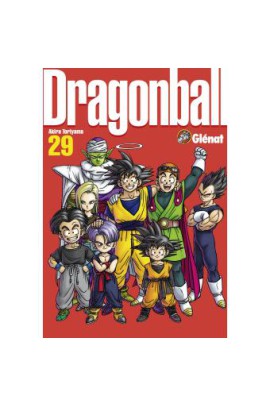 DRAGON BALL PERFECT EDITION T29