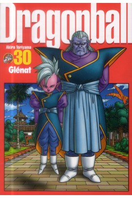 DRAGON BALL PERFECT EDITION T30