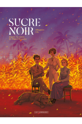 SUCRE NOIR