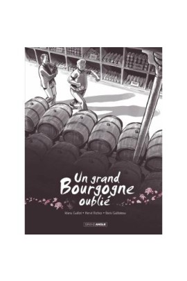 UN GRAND BOURGOGNE OUBLIE T1