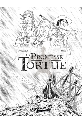 LA PROMESSE DE LA TORTUE T01