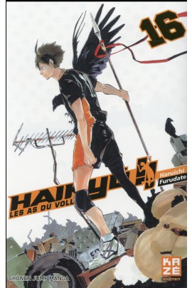 LES AS DU VOLLEY