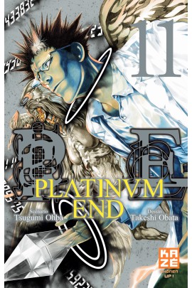 PLATINUM END T11