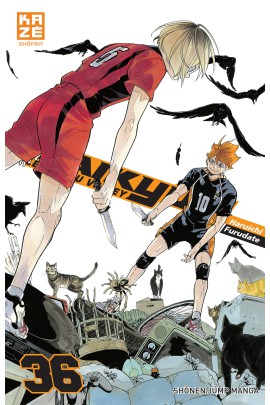 LES AS DU VOLLEY