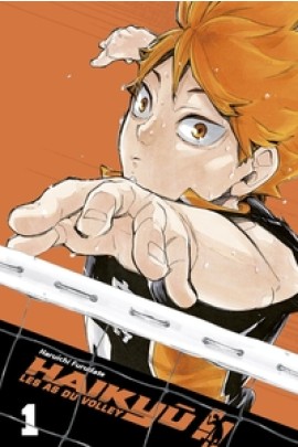 HAIKYU!! EDITION SMASH T01