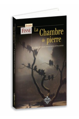 LA CHAMBRE DE PIERRE