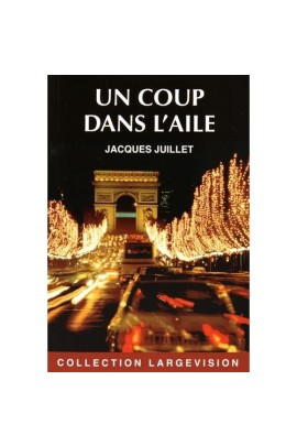 UN COUP DANS L'AILE